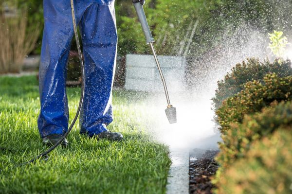 Curb Cleaning in Middleburg