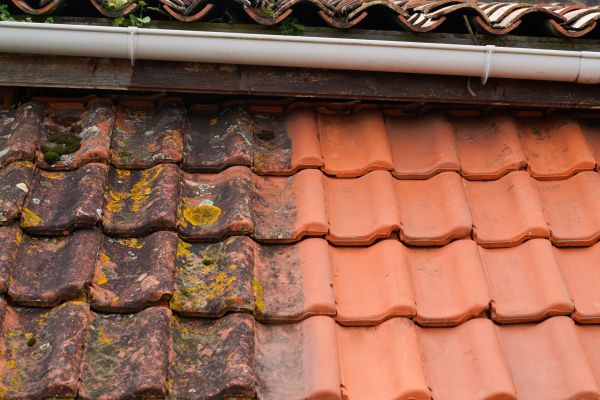 Industrial Roof Cleaning in Middleburg